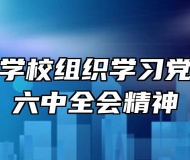 芜湖师范学校组织学习党的十九届六中全会精神