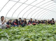 安徽材料工程学校现代农艺技术简介