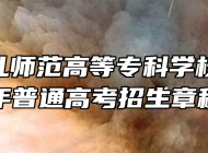 阜阳幼儿师范高等专科学校2026年普通高考招生章程
