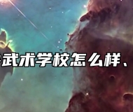 临淄齐鲁武术学校怎么样、好不好？