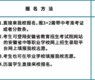庐州卫生科技学校2025年招生简章