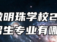  安徽明珠学校2024年招生专业有哪些？