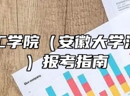 合肥理工学院（安徽大学江淮学院）报考指南