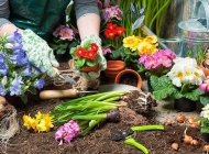 宣城市旅游学校作物生产技术