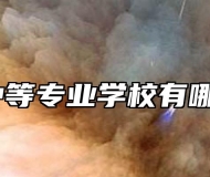 怀宁县中等专业学校有哪些专业？