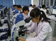 安徽合肥医药卫生学校（安徽红十字会卫生学校）医学影像技术专业