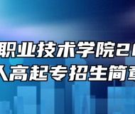 安徽工业职业技术学院2023年成人高起专招生简章