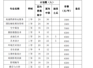 安徽艺术职业学院2024年分类考试招生计划