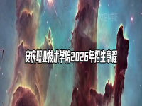 安庆职业技术学院2026年招生章程
