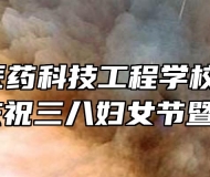阜阳市医药科技工程学校召开2021年庆祝三八妇女节暨表彰会