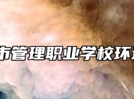 青岛城市管理职业学校环境好吗？