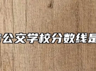 合肥市公交学校分数线是多少？