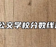 合肥市公交学校分数线是多少？