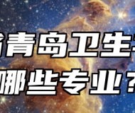 山东省青岛卫生学校有哪些专业？