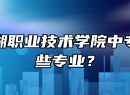 合肥滨湖职业技术学院中专部有哪些专业？