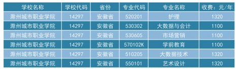 滁州城市职业学院2023年成人高起专招生简章